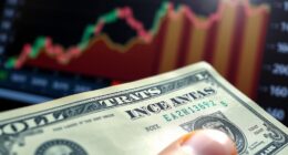 dollar rises on ppi increase
