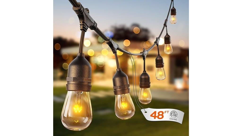 48 foot edison string lights