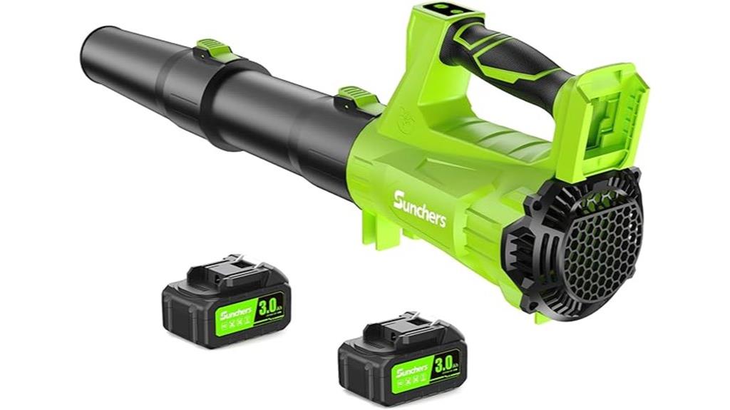 cordless blower two batteries