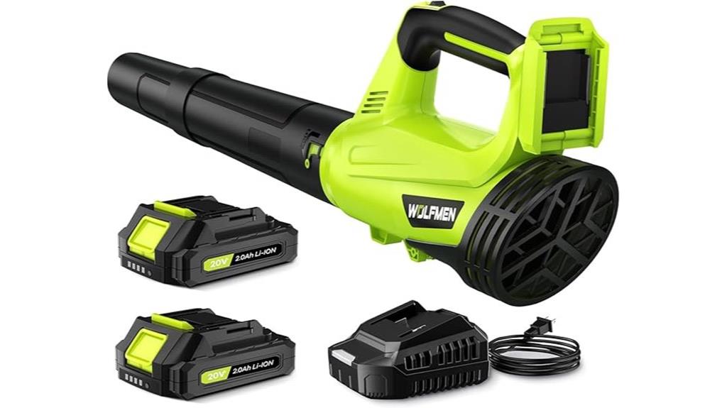 cordless blower with extras