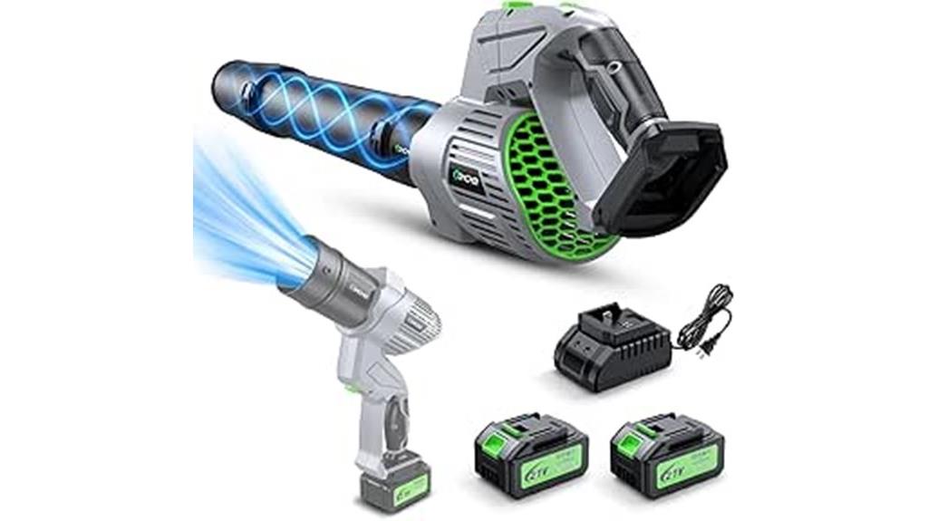 cordless leaf blower set