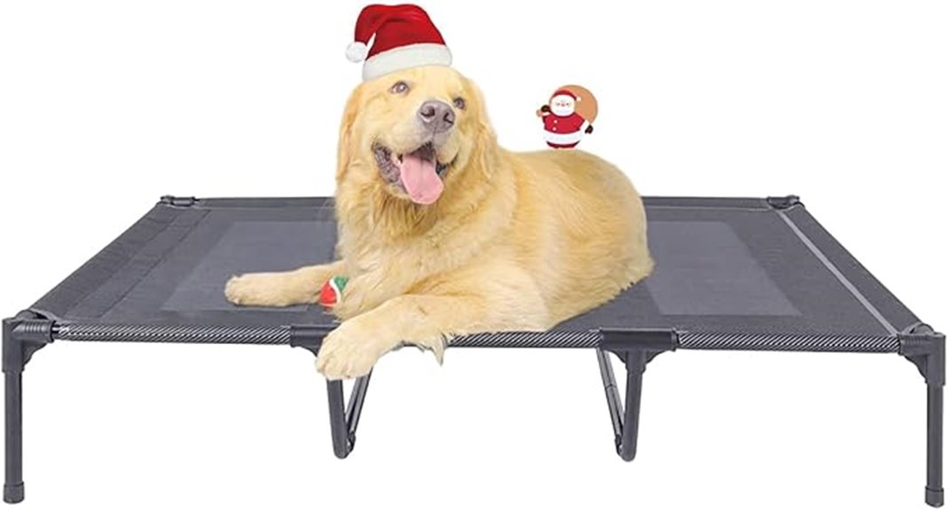 elevated large dog bed