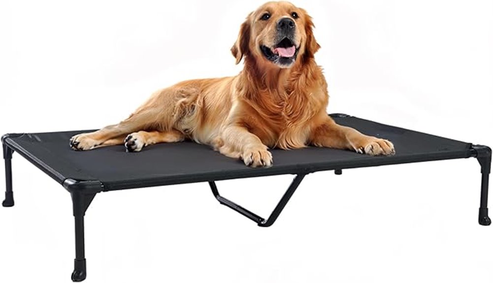 elevated slip resistant dog bed