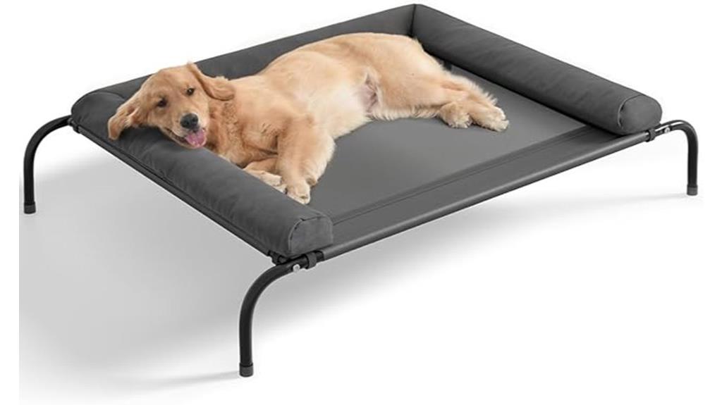 large elevated dog bed