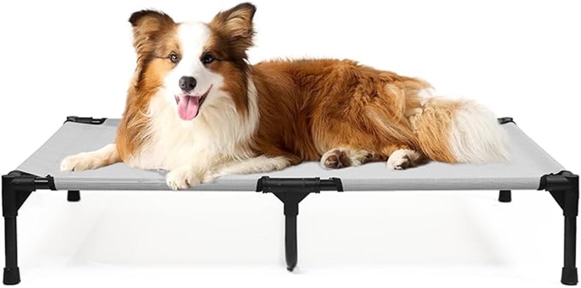 large elevated dog bed
