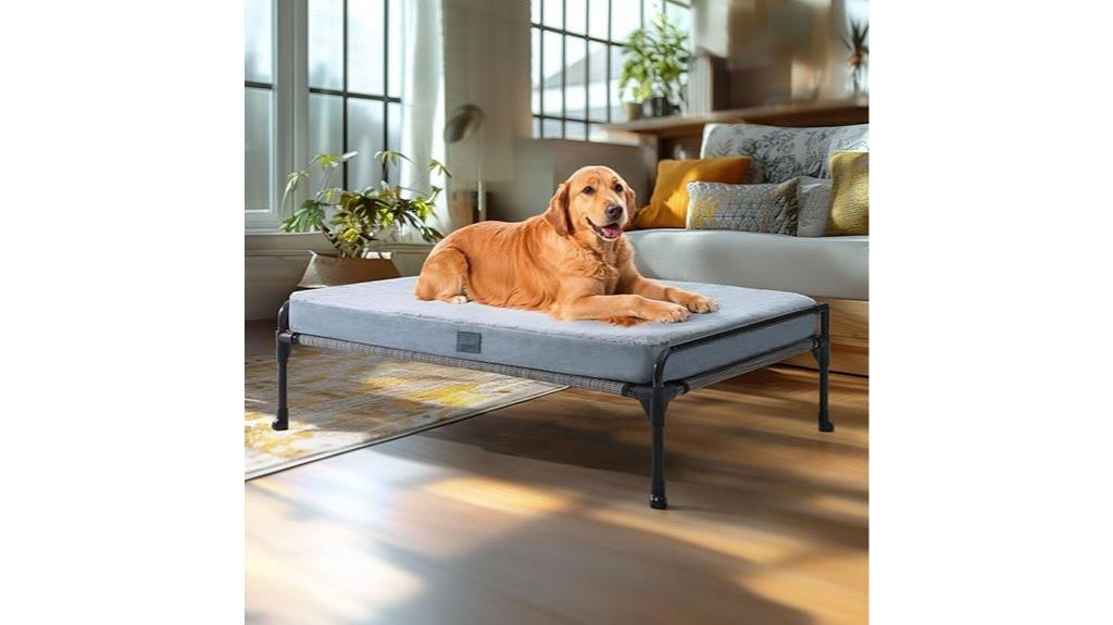 raised dog bed with removable mat