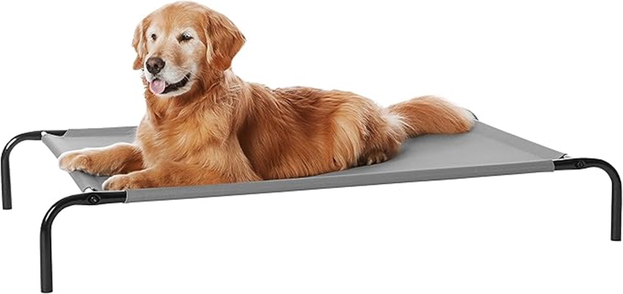 raised metal dog bed
