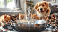 top pet fountain picks