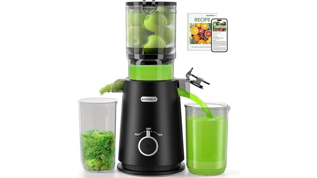 wide mouth juicer machine