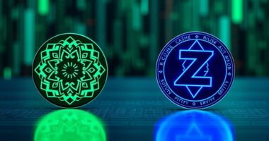 differences in privacy coins