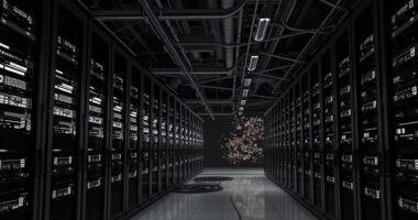 gray bittensor trust files