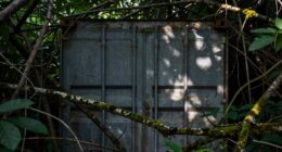 camouflage metal backup storage