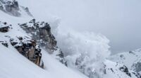 persistent avalanche hypothesis