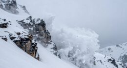 persistent avalanche hypothesis