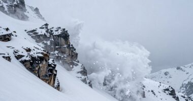 persistent avalanche hypothesis
