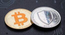 privacy focused cryptocurrencies debate