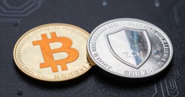 privacy focused cryptocurrencies debate
