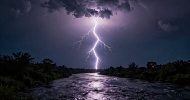 salesforce liquidity impacts experience