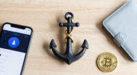 Anchor. The Schwarz Group model.