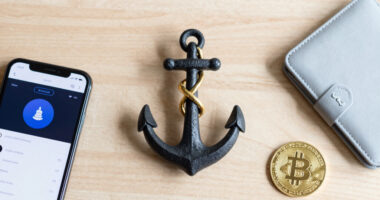 Anchor. The Schwarz Group model.
